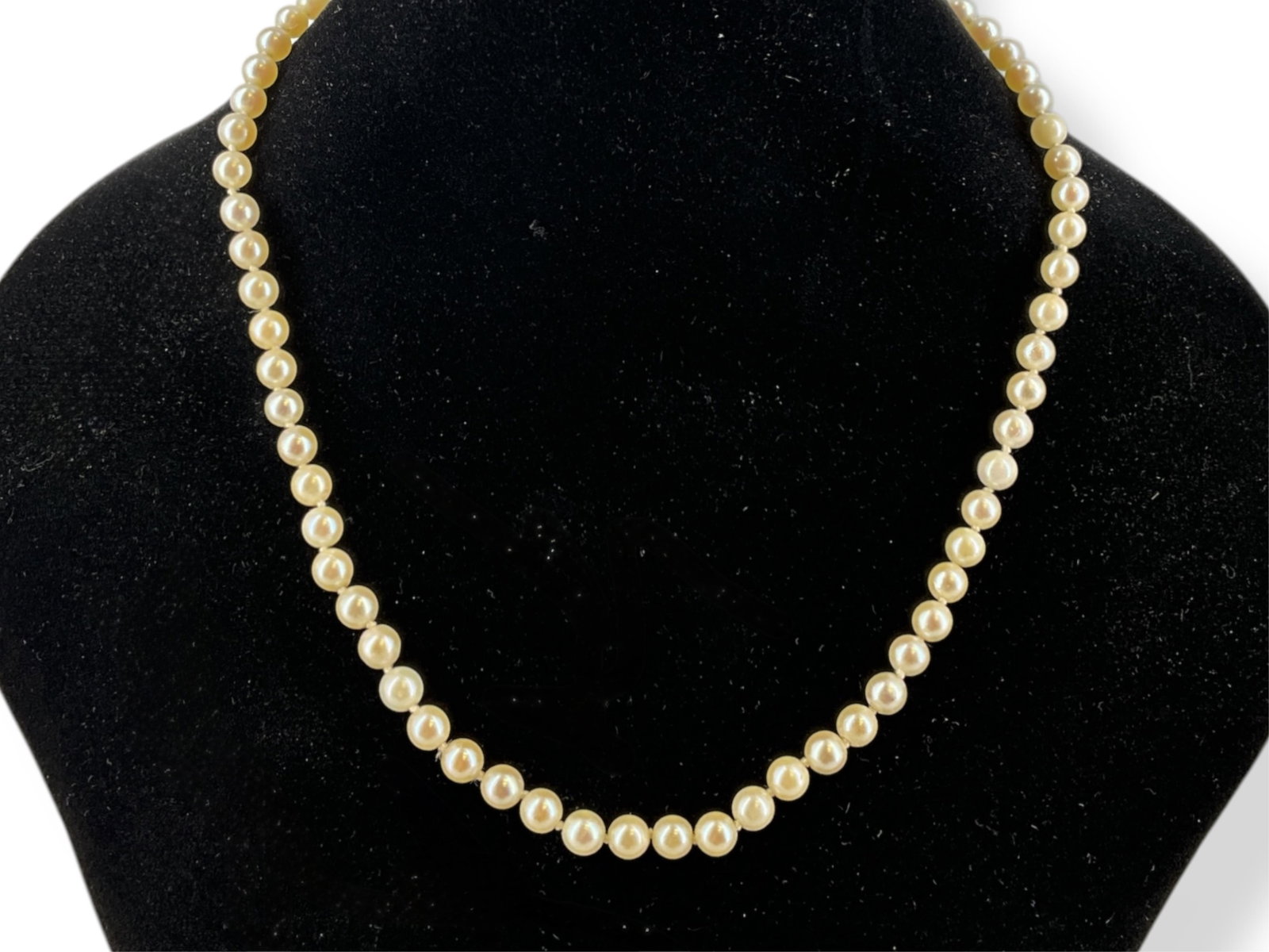 Choker Length Cultured Pearl Necklace: Choker Length Cultured Pearl Necklace Pearl necklace is approx 16" long with pearls @ approx 5.5mm in size, necklace has a marked and tested 14k white gold clasp, pearls are knotted in the strand and 