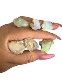 (6) Striking Loose Raw Uncut Opals