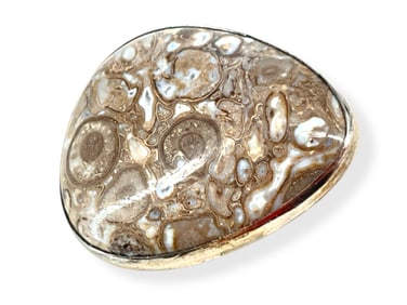 Stone with Fossils - Brooch