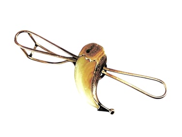 Antique Clip Featuring Animal Claw