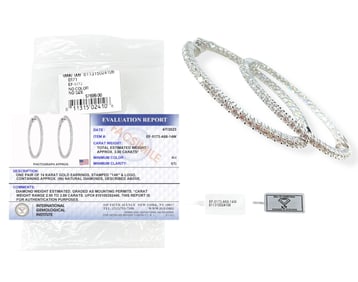 14kt White Gold Diamond Hoop Earrings