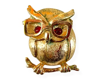 Owl Pin with Glasses