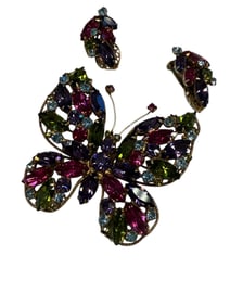 Incredible Signed ìRegencyî Butterfly Brooch and Matching Earrings