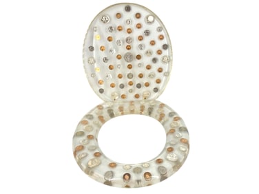 Lucite Toilet Seat Cover and Seat with Embedded Coins