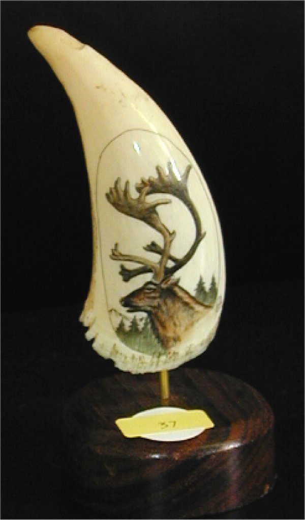 SCRIMSHAW CARVINGS