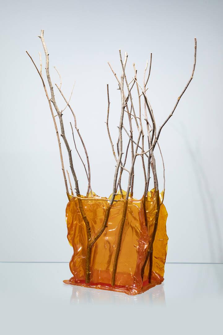 FERNANDO E HUMBERTO CAMPANA (1 of 1)