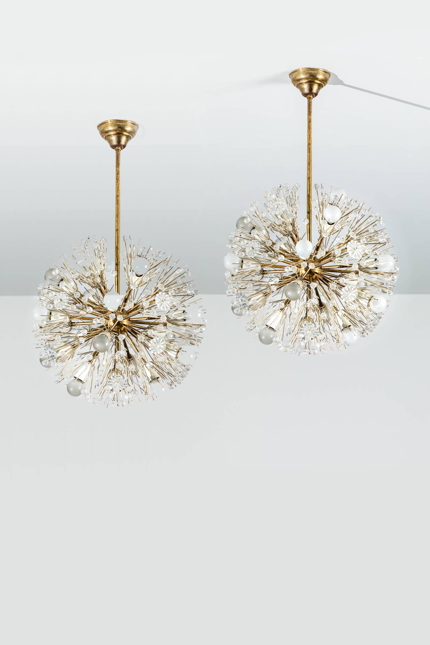 EMIL STEJNAR (1 of 1)