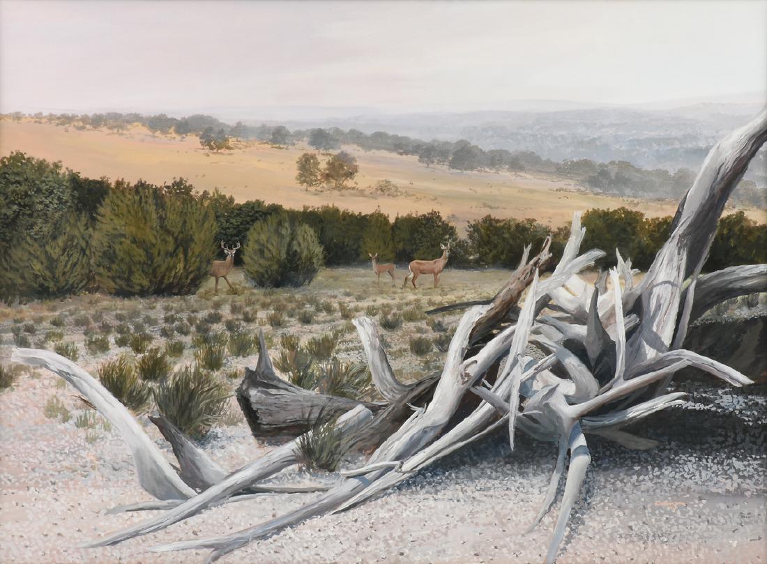 JAMES ROBINSON (American/Texas 1944-2015) A PAINTING, (1 of 13)