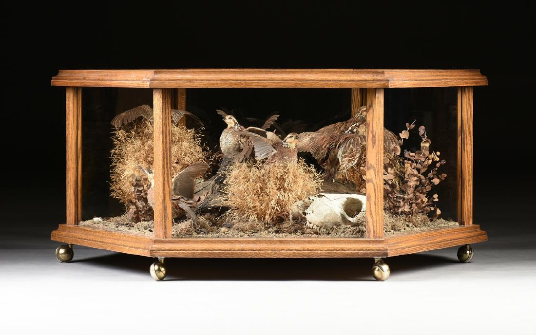 A VINTAGE TAXIDERMY CASED OAK COFFEE TABLE, "The (1 of 11)