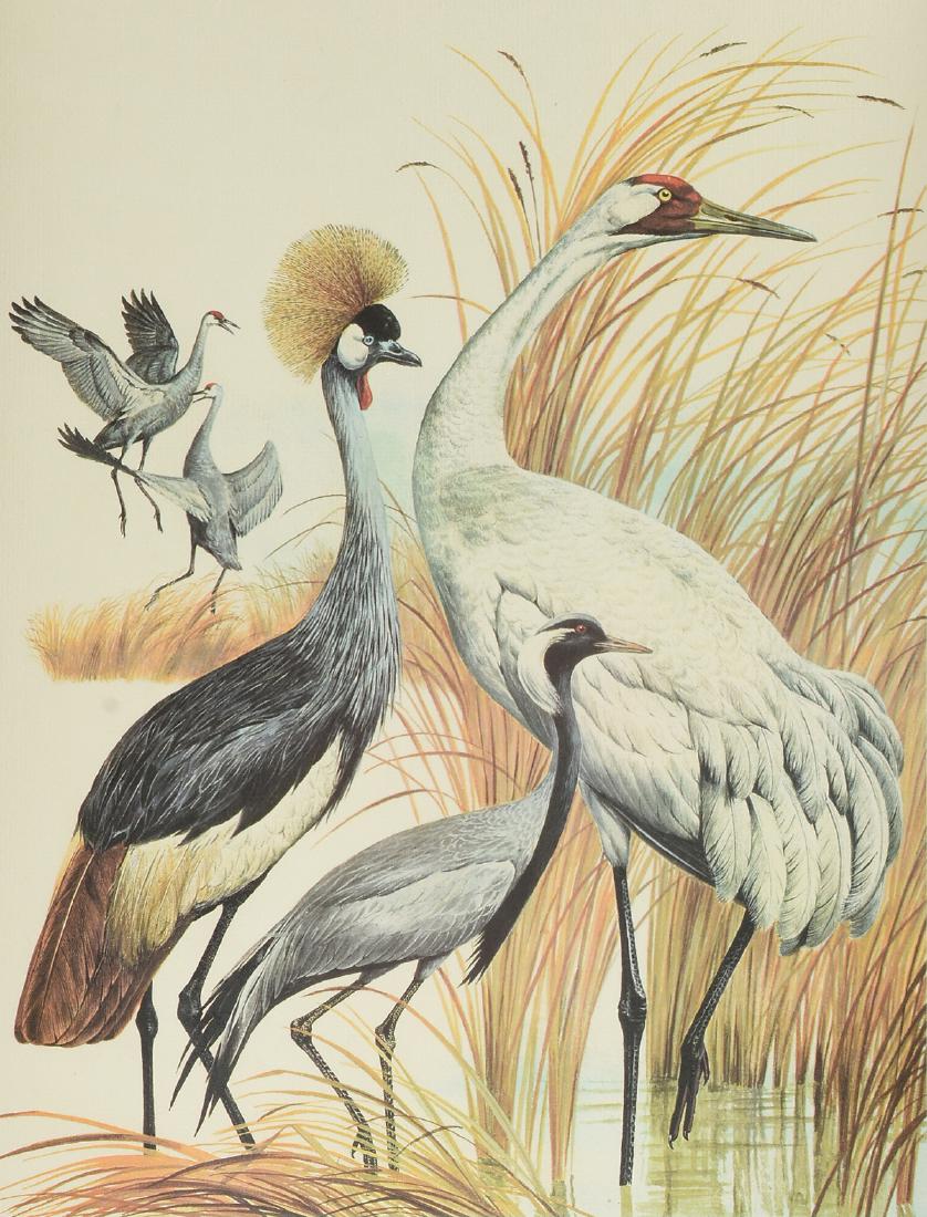 A GROUP OF THREE AMERICAN ARTWORKS, 20TH CENTURY, (1 of 15)