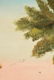 WILLIAM SKILLING (California 1862-1964) after WINTHROP - 6