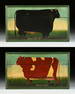 A PAIR OF NAIVE FOLK ART PAINTINGS, "Prize Bull 1877,"