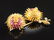 AN 18K YELLOW GOLD, RUBY AND DIAMOND LADY'S BROOCH, - 2