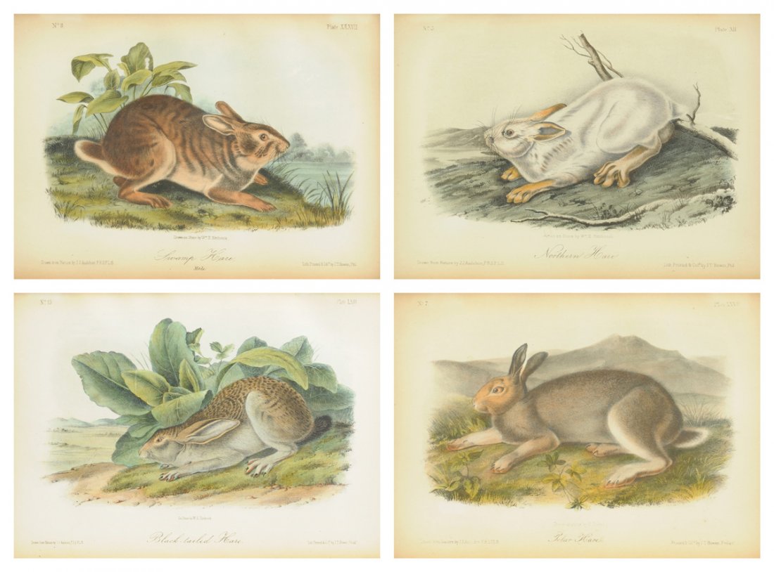 JOHN JAMES AUDUBON (American 1785-1851) A PAIR OF TWO P (1 of 9)