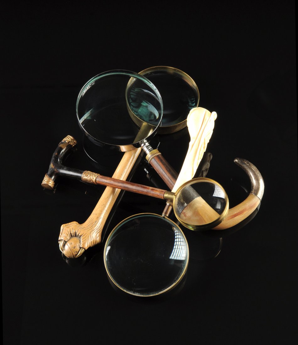 A GROUP OF FOUR VARIOUS WOODS, HORN AND BONE DESKTOP MA: A GROUP OF FOUR VARIOUS WOODS, HORN AND BONE DESKTOP MAGNIFYING GLASSES, each modified from either walking sticks, parasol handles or canes and comprising one with a sterling silver mounted horn and r
