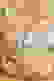 item-40767765=4