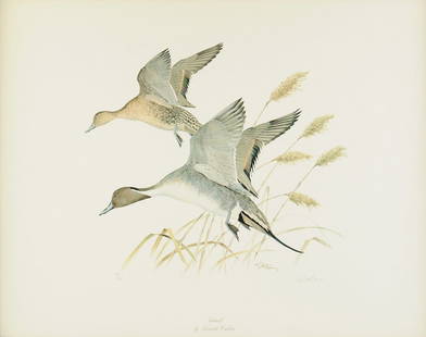KENNETH CARLSON (20th Century) A COLORED LITHOGRAPH,: KENNETH CARLSON (20th Century) A COLORED LITHOGRAPH, "Pintails," signed L/R in plate, artist signed L/R, numbered 78/580. 30 1/4" x 36 1/4"