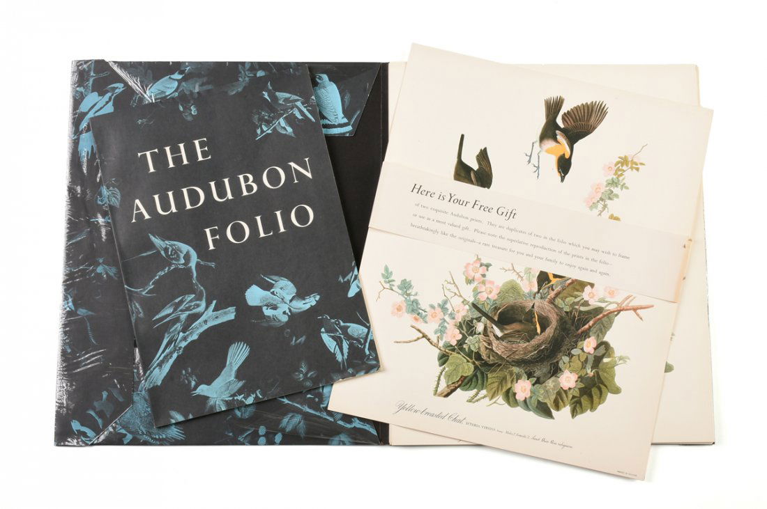 after JOHN JAMES AUDUBON (American 1785-1851) "THE (1 of 10)