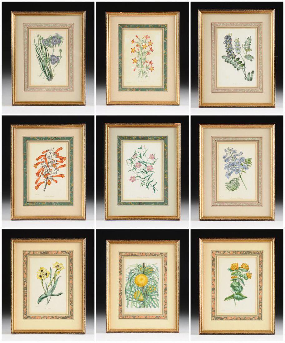 A GROUP OF ELEVEN BOTANICAL PRINTS, (1 of 10)