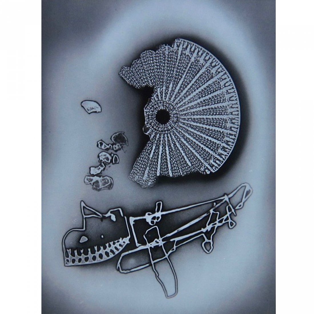 Carl Struwe Abstract Black and White Photograph (1 of 4)