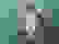 item-36143543=2