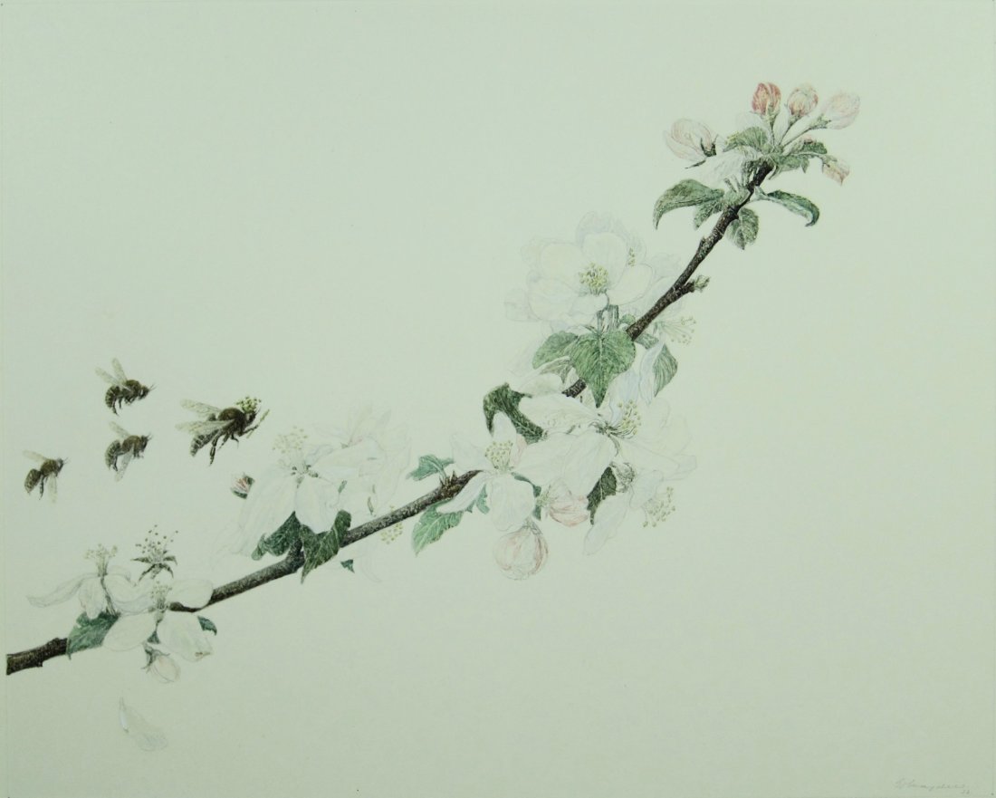 Ernst von Maydell, drawing (1 of 6)