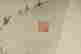 item-18900924=3