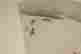 item-18900924=4