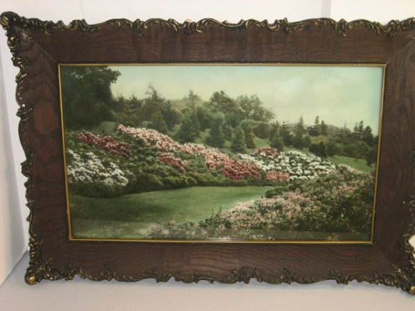 EARLY 1900'S TINTED PRINT-GARDEN SCENE, OAK FRAME: EARLY 1900'S TINTED PRINT-GARDEN SCENE, OAK FRAME. UNSIGNED. STYLE IS IN THE MANNER OF MAXFIELD PARRISH. SCENE MAY BE OF HIGHLAND PARK, ROCHESTER, N.Y. WITH WAVES OF AZALEAS & RODODENDRUMS. FANCY EARL