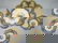 227: 5 PC. NORITAKE/NIPPON NUT SET - 2