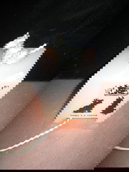 SCOTTIE DOG LAMP NIGHTLIGHT ANTIQUE CHILD'S.: SCOTTIE DOG LAMP NIGHTLIGHT ANTIQUE CHILD'S. SMALL, TABLE SIDE LAMP OR NIGHT LIGHT, ELECTRIC. PROBABLY 1950'S ERA. FROSTED-LIKE GLASS W/4 SIDES DEPICTING SCENES OF SCOTTIE DOG ON EACH SIDE. ON TOP, SI