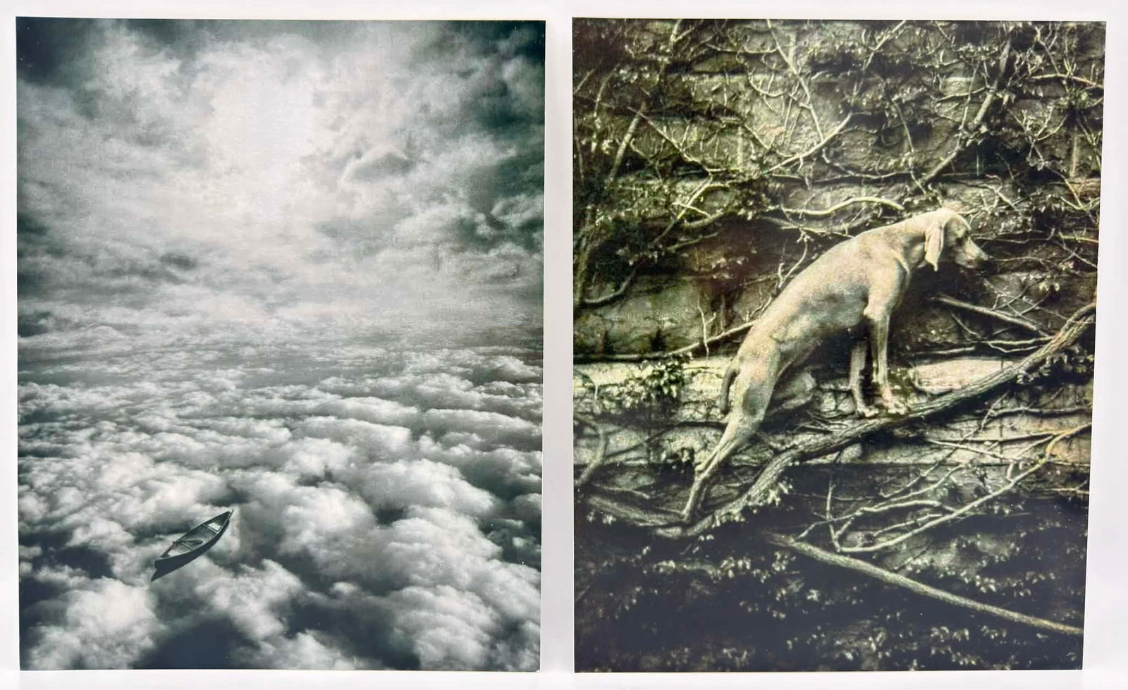 William Wegman “Relief” & Jerry Uelsmann Photolithographs – Set of Two Mounted Works (1 of 4)