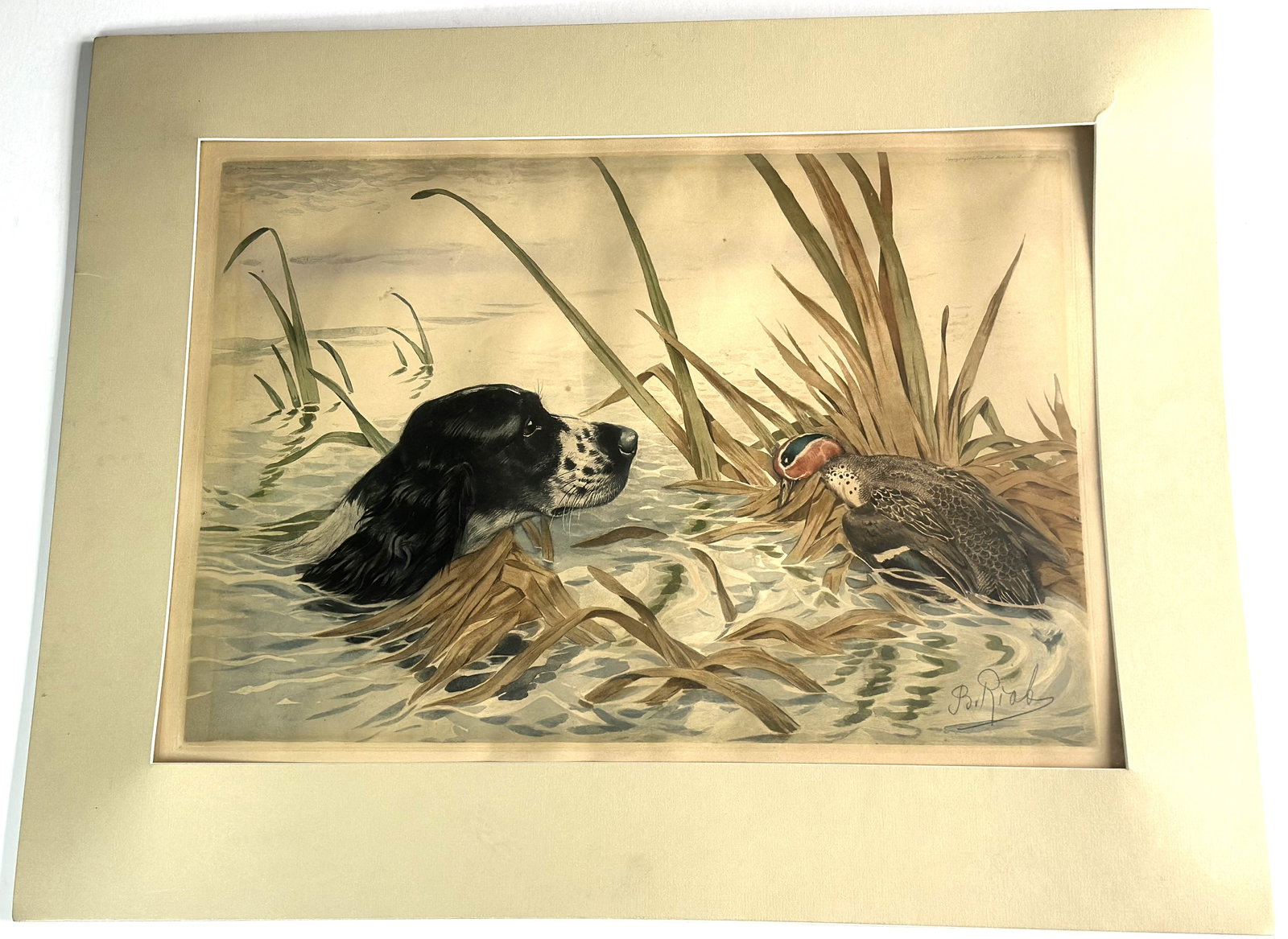Vintage Hunting Dog Retrieving Duck Marsh Scene Color Print, Sporting Art (1 of 1)