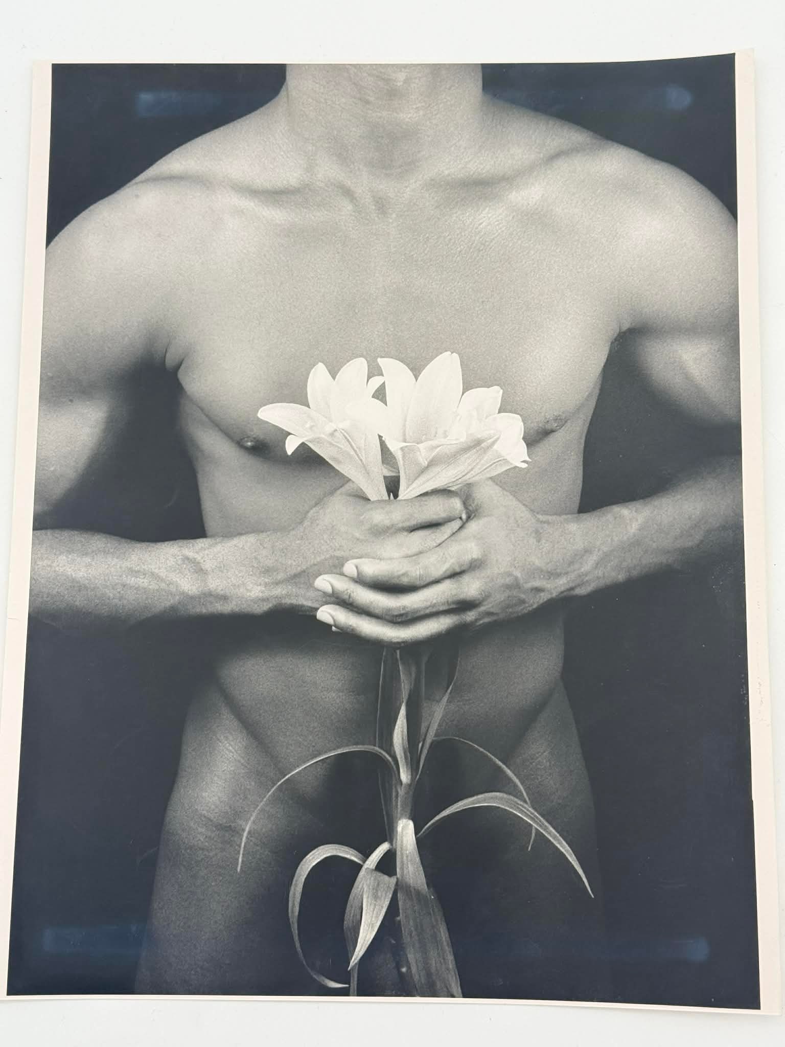 Robert Taylor Bloom 5 Photograph Edition 7/40 Signed Verso Male Nude Floral Study: “Bloom 5,” a black-and-white photographic study depicting a male nude torso holding a flower, executed with a strong emphasis on form, contrast, and composition. The work is identified on the