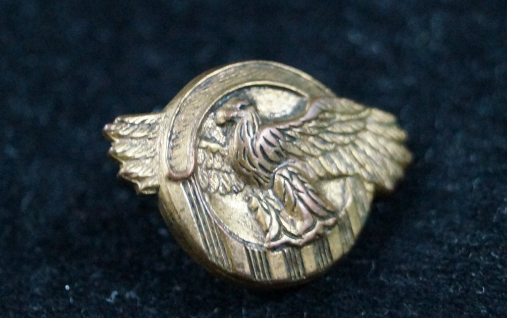Vintage Eagle Masonic Shriners Lapel Pin: Vintage Eagle Masonic Shriners Lapel Pin. Very good condition. Light wear to metal.