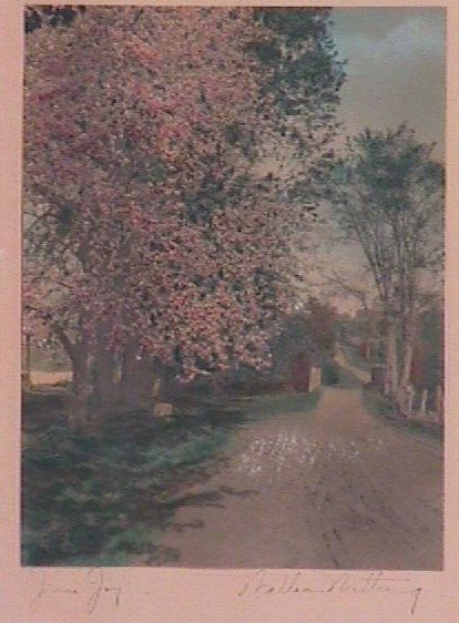 Wallace Nutting - June Joy: Circa 1915-25 hand-colored photo. Exterior scene. Cuttingsville, Vermont. Original mat, pen signature, and title. Est 11x14" original frame. Older backing paper. 3.0 Grading with slightly dark and cro