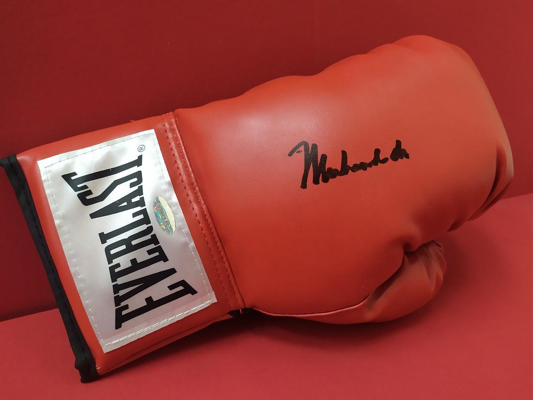 Muhammad Ali: Evelast boxing glove signed by the boxing champion. Steiner autentication.
