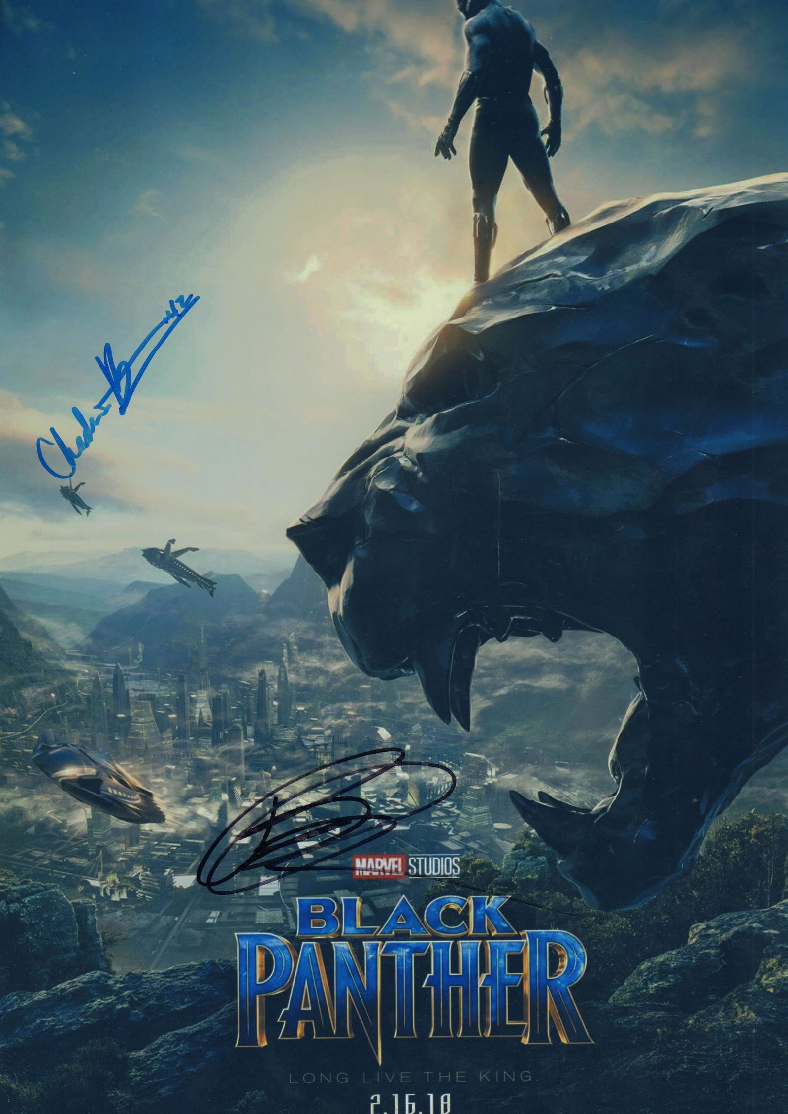 Black Panther (1 of 1)