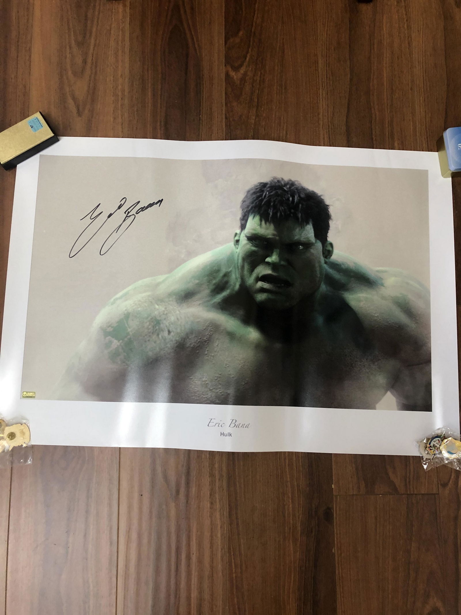 Eric Bana as the HULK (1 of 1)