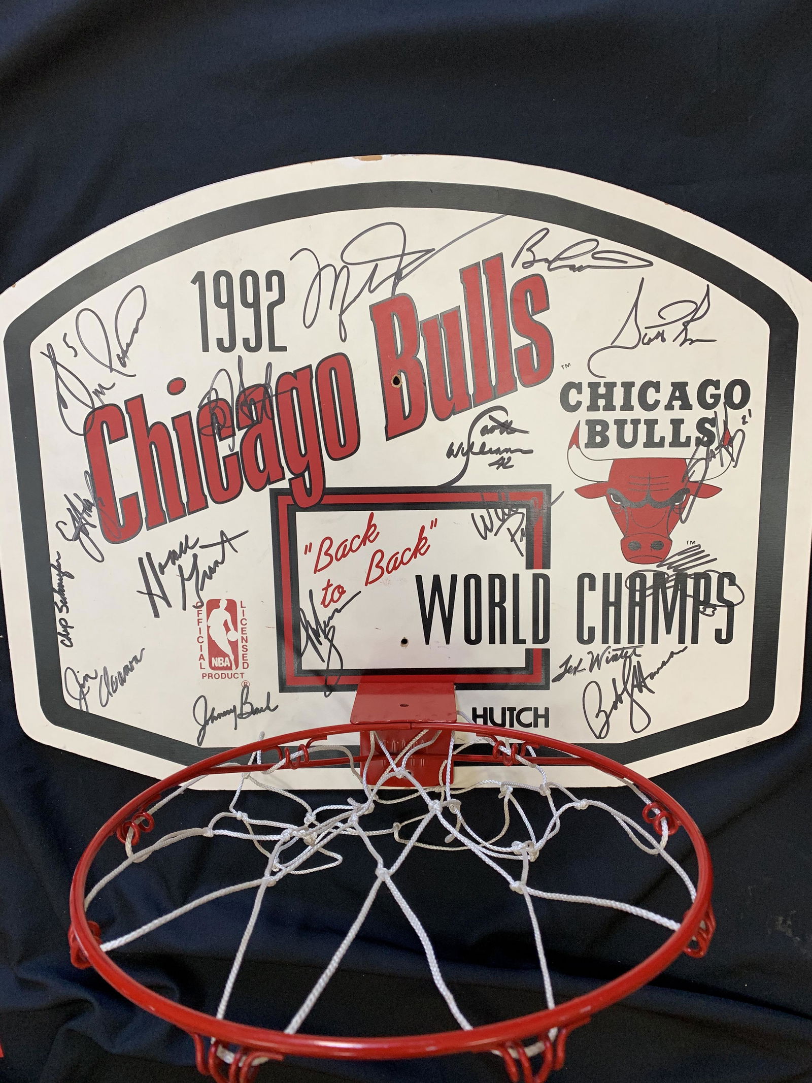 Michael Jordan one of a kind ! (1 of 1)