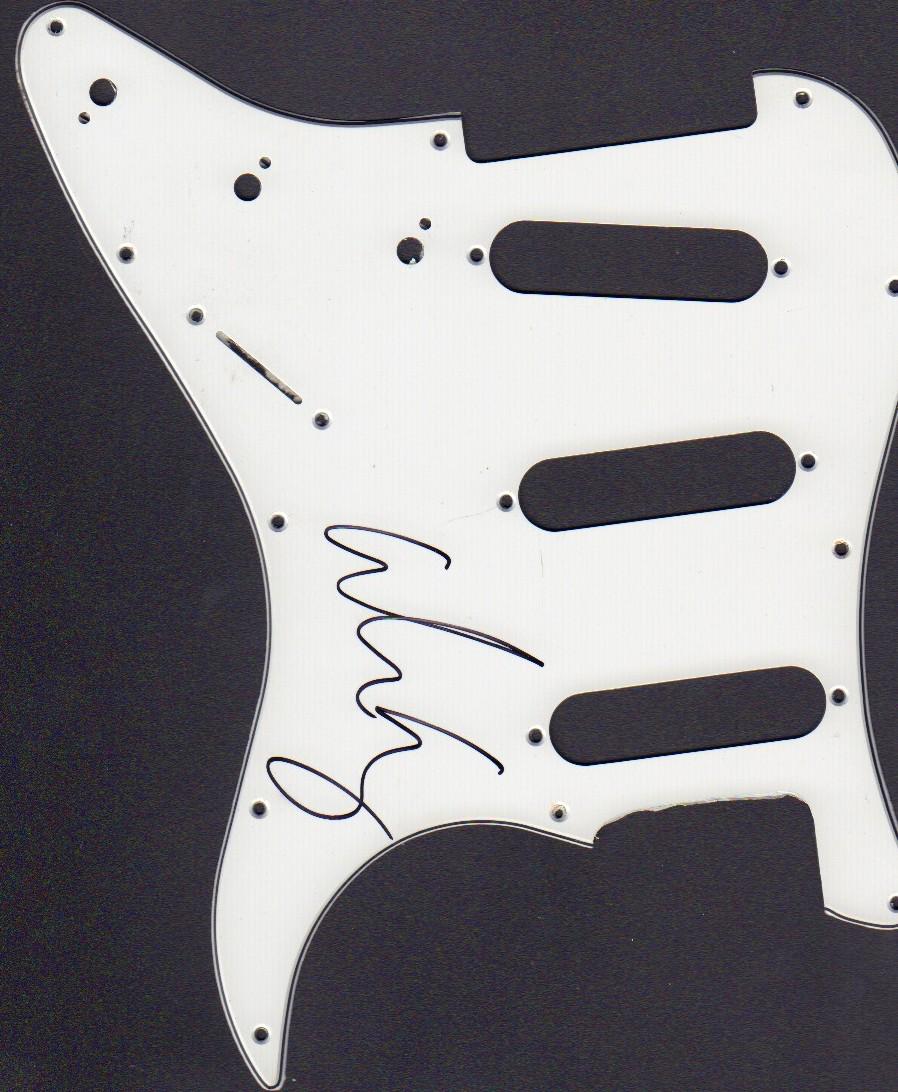 Alice Cooper pickguard (1 of 1)
