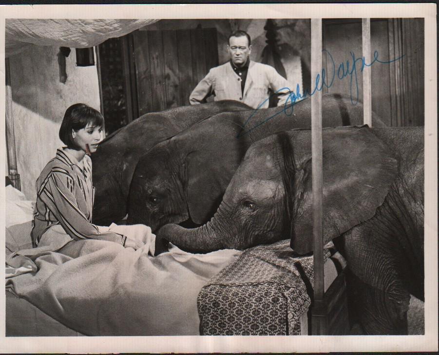 John Wayne signed photograph (1 of 1)