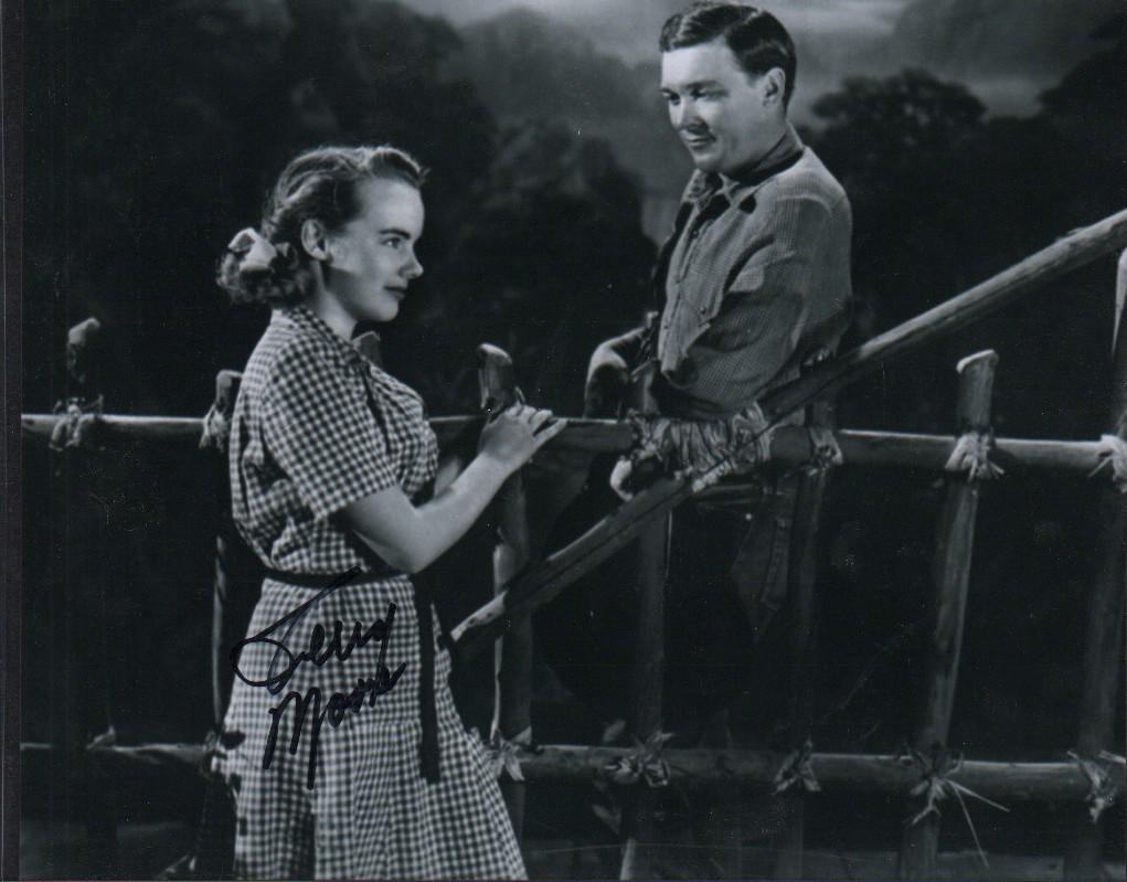 Terry Moore vintage signed photograph (1 of 1)