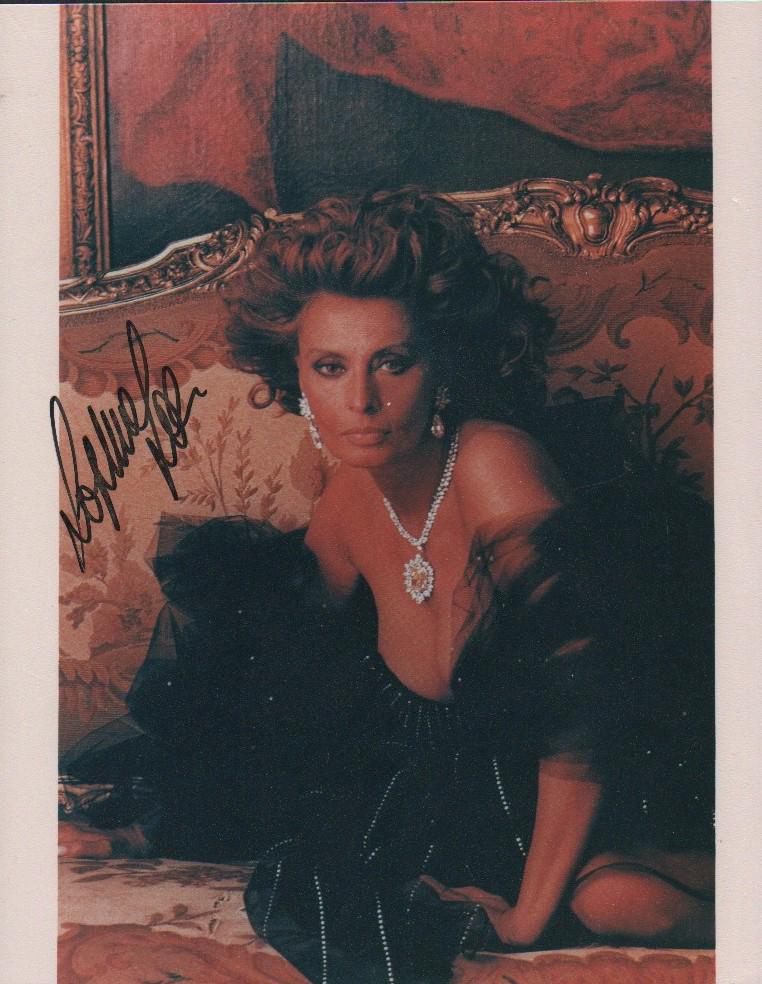 Sophia Loren sexy vintage signed photograph: A sexy vintage signed Sophia Loren with guaranteed COA