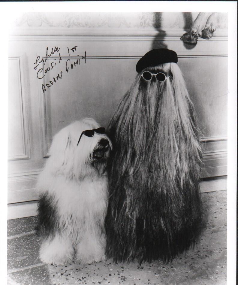 Felix Silla Cousin IT Addams Family signed photo: A Felix Silla as Cousin It signed 8x10 from TVS Addams Family with COA