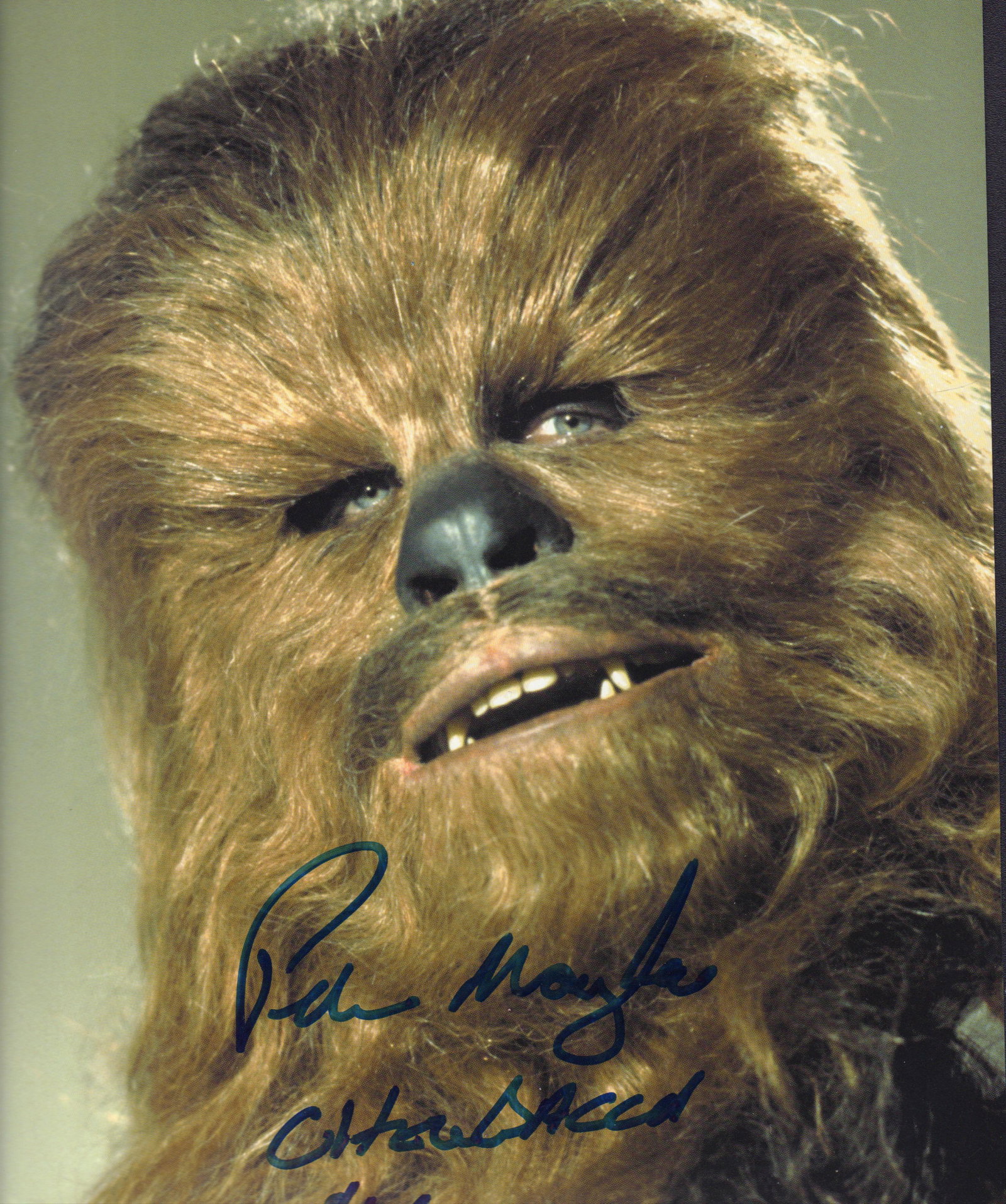 Peter Mayhew Star Wars Chewbacca signed photograph (1 of 1)