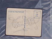 Walt Disney spectacular signature