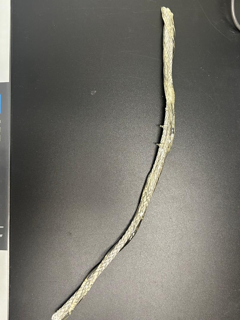 Spiderman prop webbing use don screen in first Spiderman film (1 of 1)