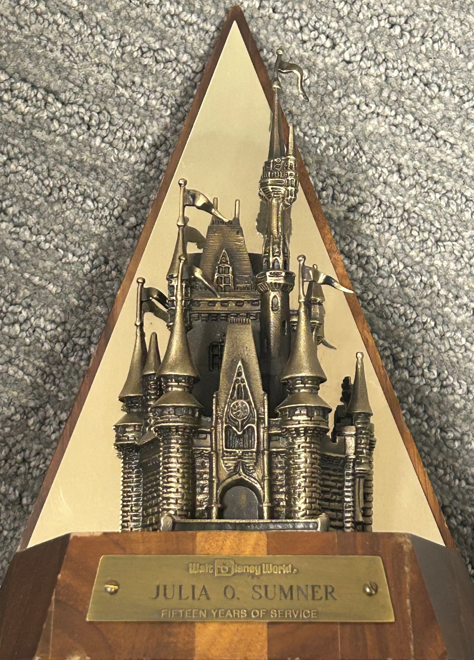 15 Year Disney Bronze award