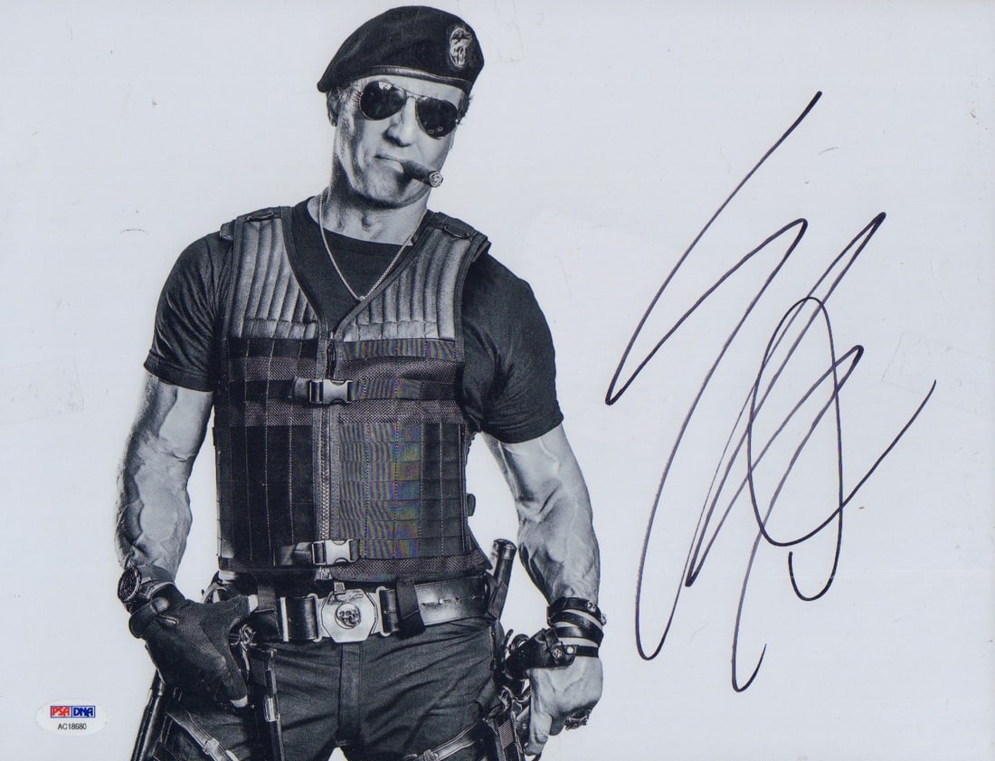 Sylvester Stallone signed photograph (1 of 1)